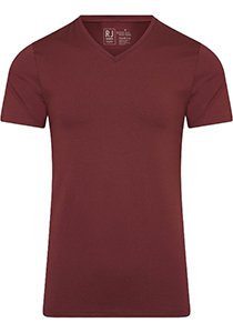 RJ Bodywear Pure Color T-shirt (1-pack), heren T-shirt met V-hals, port