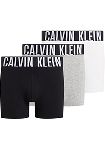 Calvin Klein Boxer Briefs (3-pack), heren boxers extra lang, zwart, grijs, wit