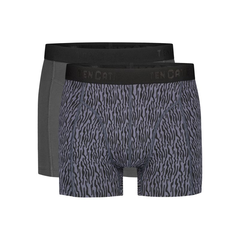TEN CATE Basics men shorts (2-pack), heren boxers normale lengte, grijs en grijs dessin